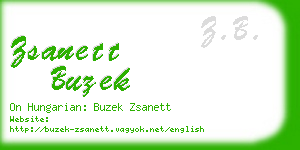 zsanett buzek business card